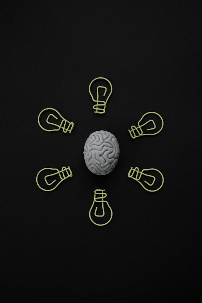 Top view of a brain model surrounded by paper clip light bulbs on black background.